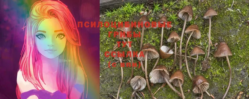 дарк нет как зайти  Куйбышев  Галлюциногенные грибы Magic Shrooms  ссылка на мегу tor 